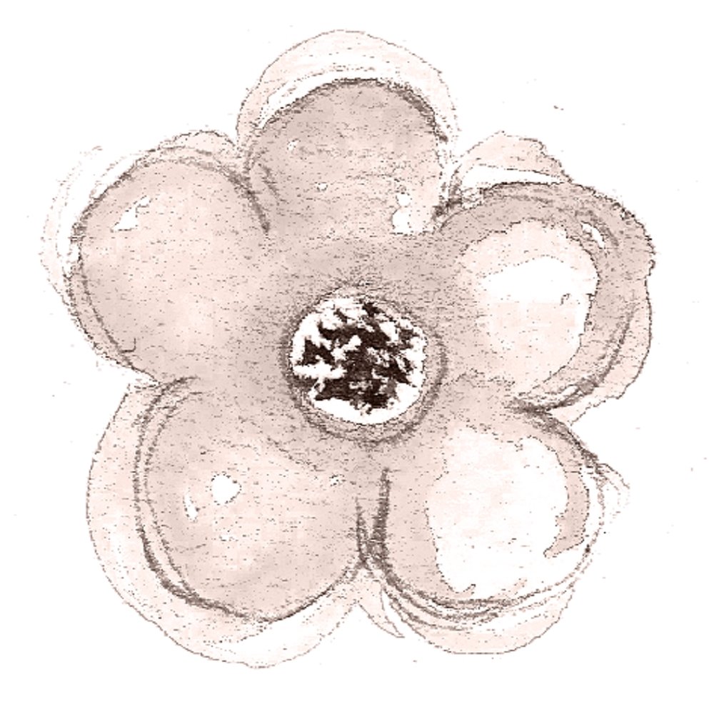 Champagne & Burgundy Cherry Blossom Fabric Panel