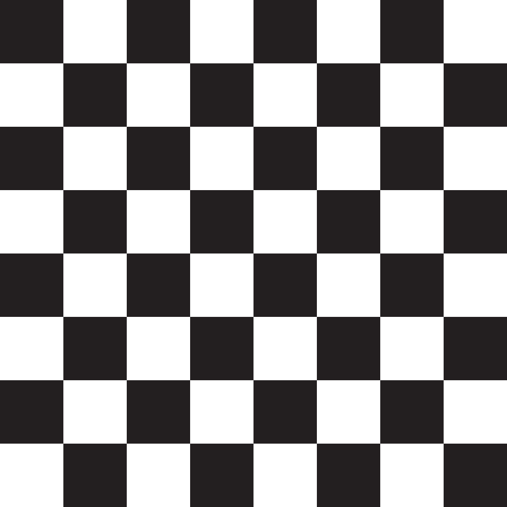 Checkered Basics Fabric - Black