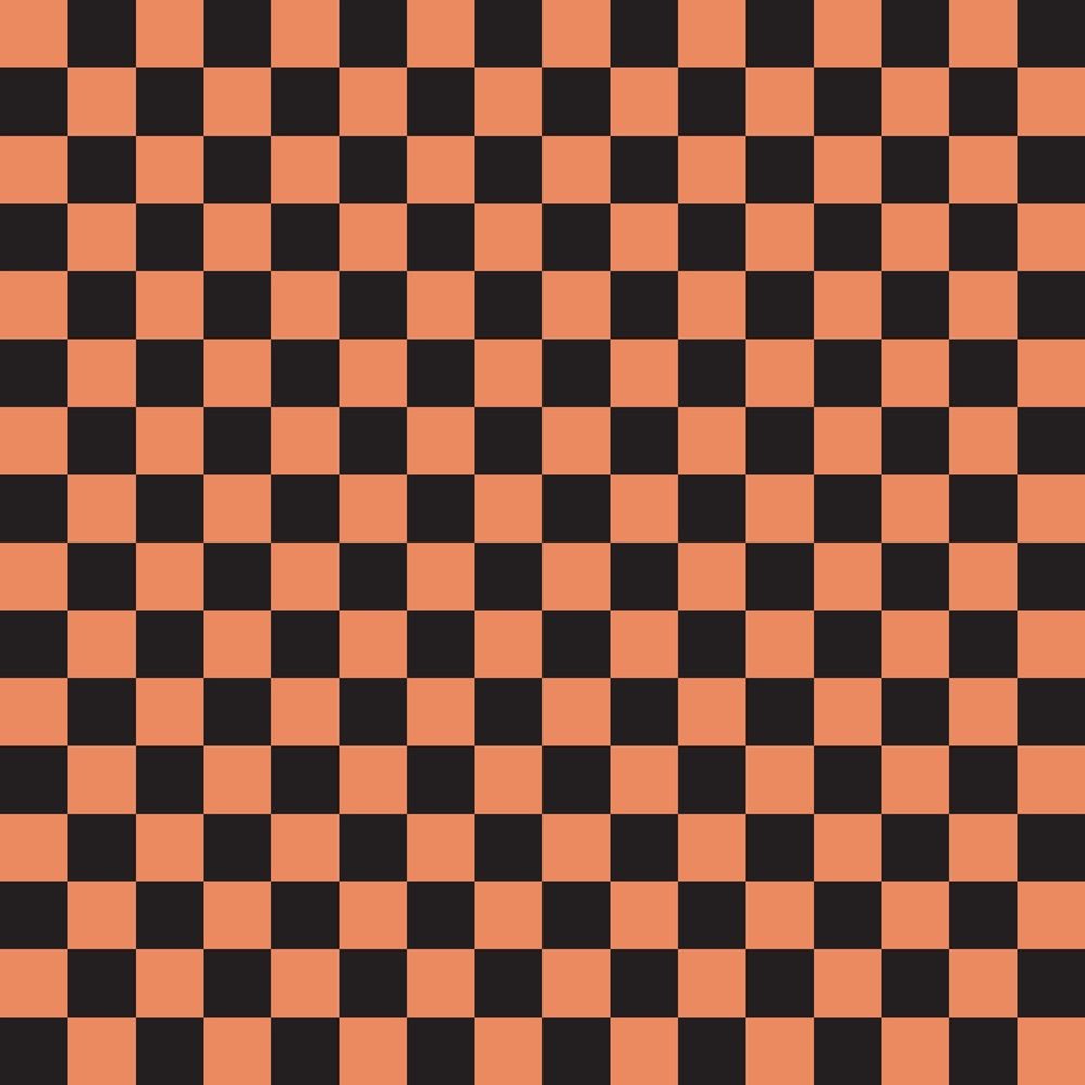 Checkered Basics Fabric - Copper River on Black
