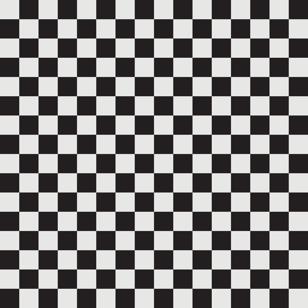 Checkered Basics Fabric - Platinum on Black