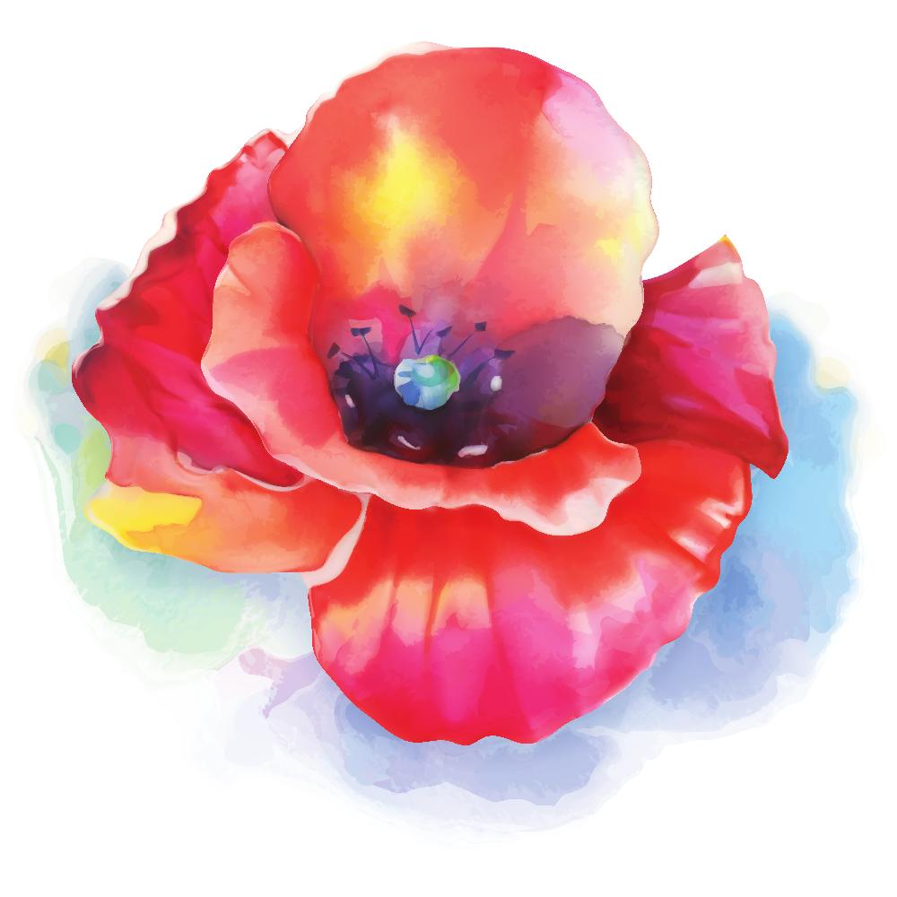 Colorful Watercolor Splash Poppy Fabric Panel