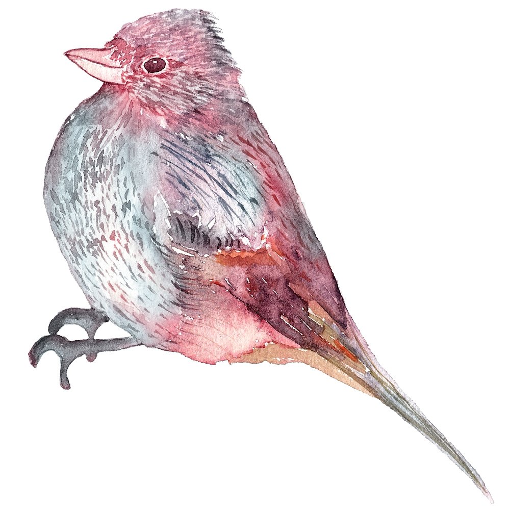 Cardinal Fabric Panel - Blue