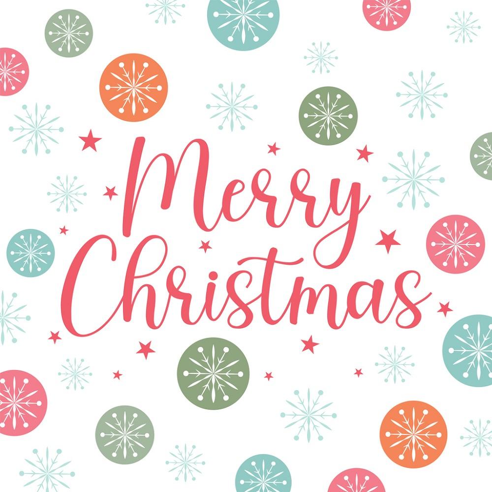 Colorful Snowflakes Merry Christmas Fabric Panel