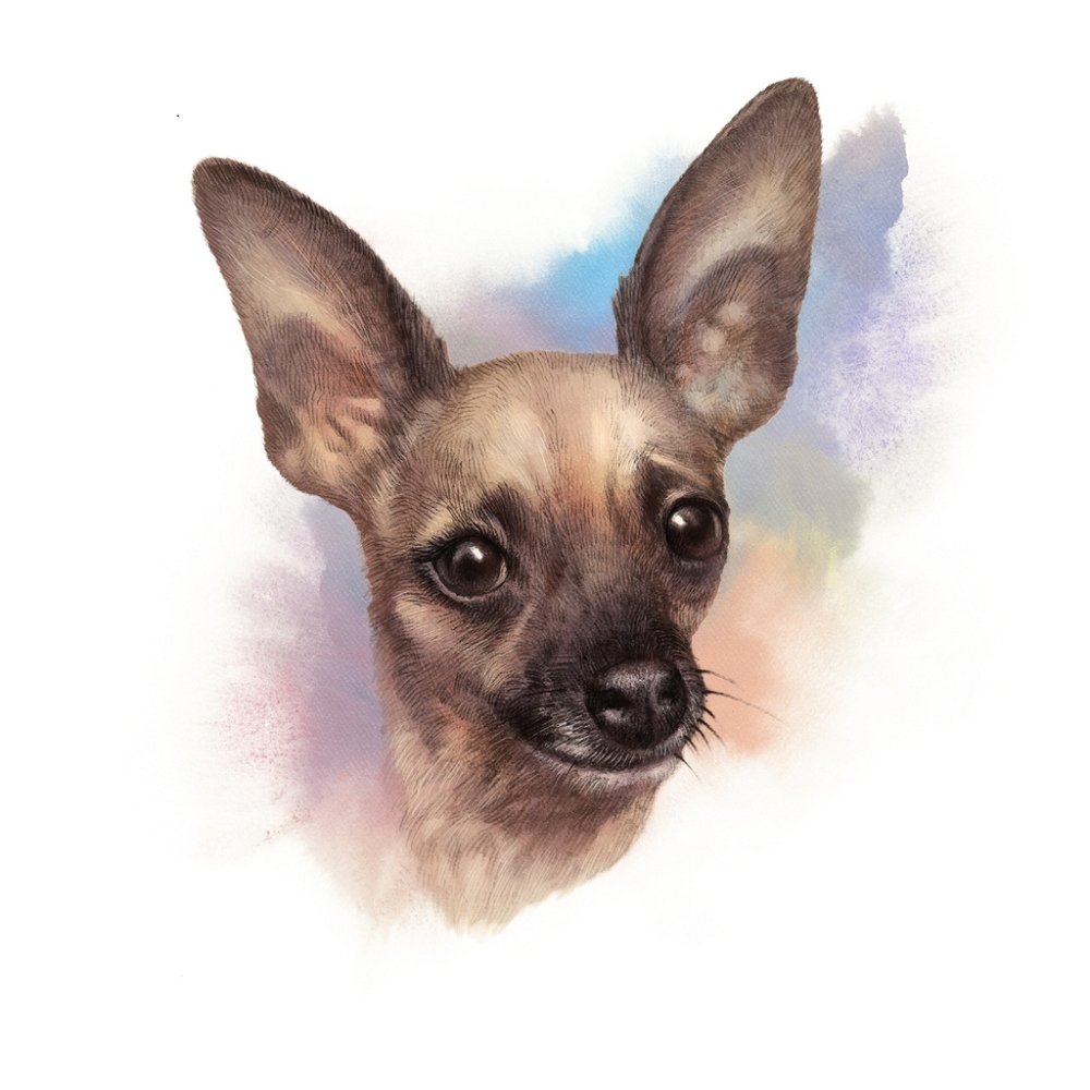 Chihuahua Portrait Fabric Panel - Multi