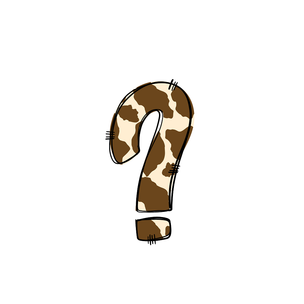 Western Cowboy ''?'' Cow Print Fabric Panel