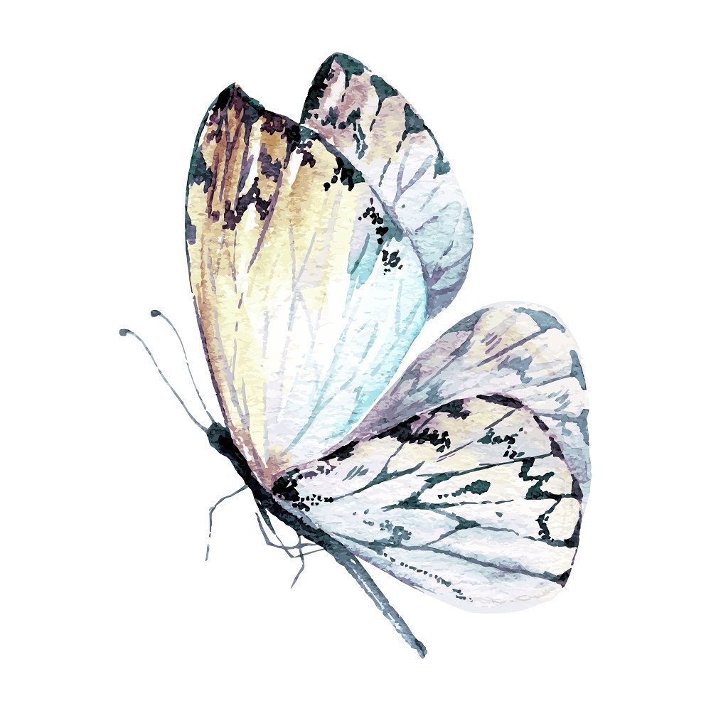 White Butterfly Fabric Panel