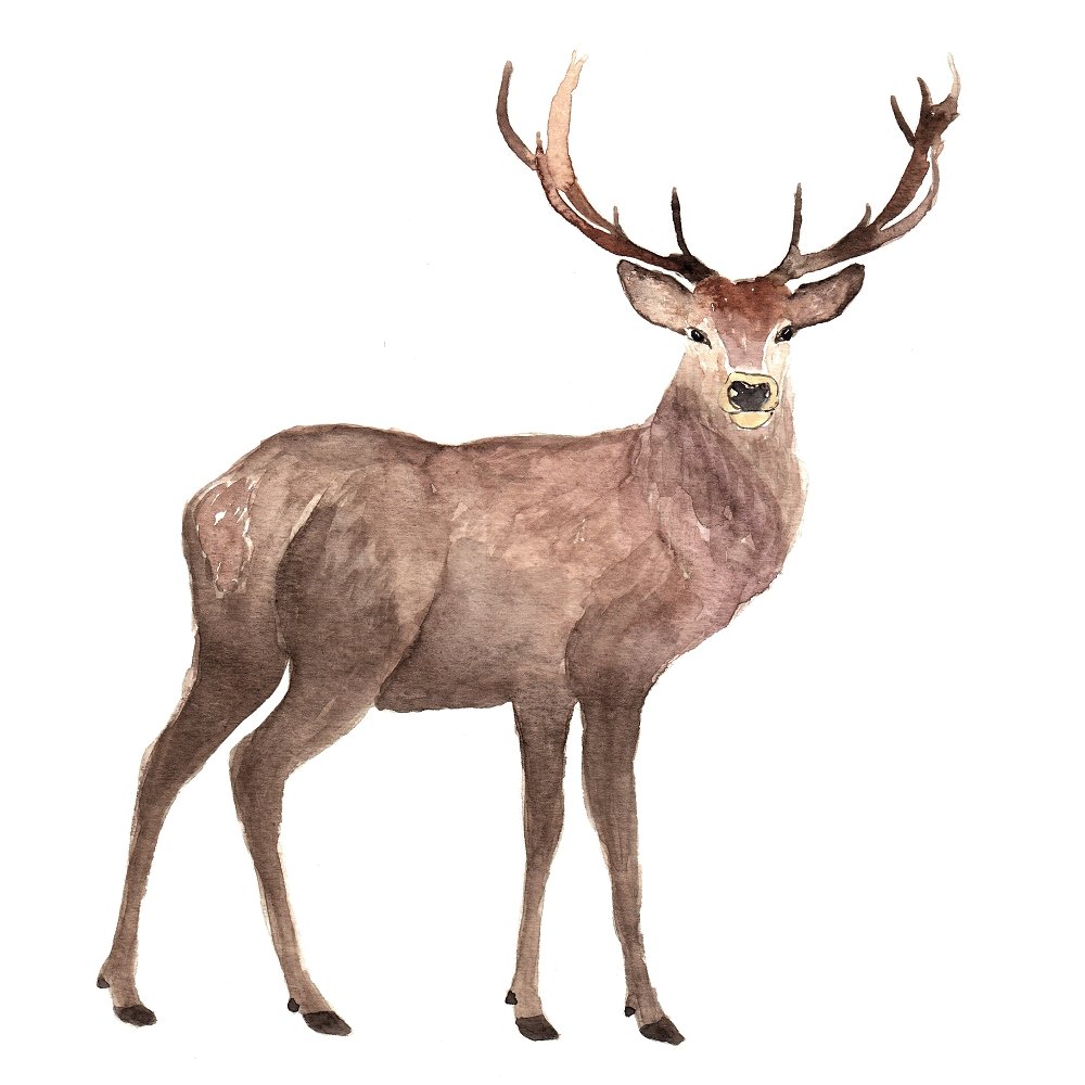 Winter Dreams Deer Fabric Panel