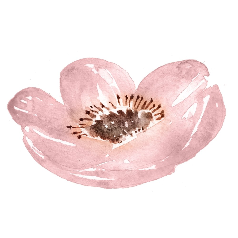 Champagne & Burgundy Poppy Fabric Panel