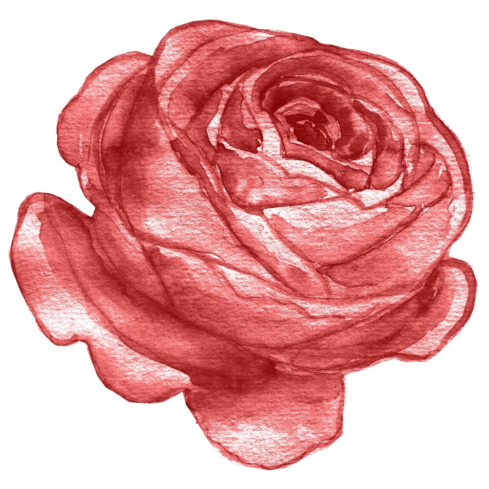 Champagne & Burgundy Rose Fabric Panel - Dusty Rose