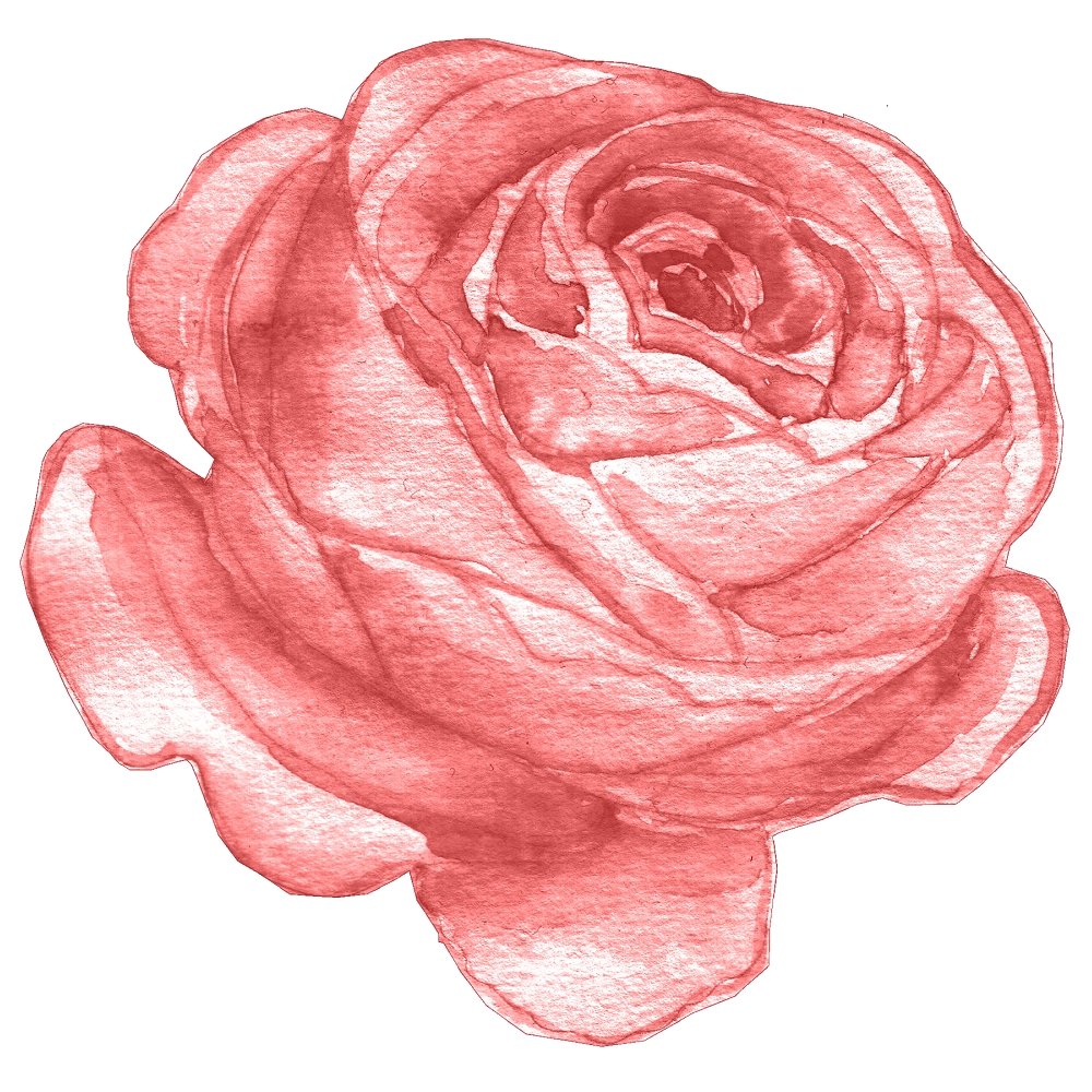 Champagne & Burgundy Rose Fabric Panel - Pink