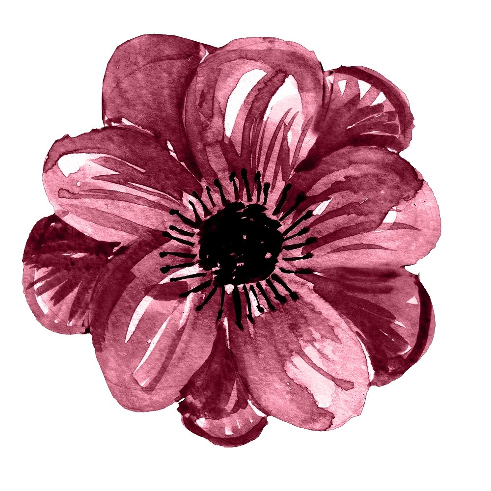 Champagne & Burgundy Wildflower Fabric Panel