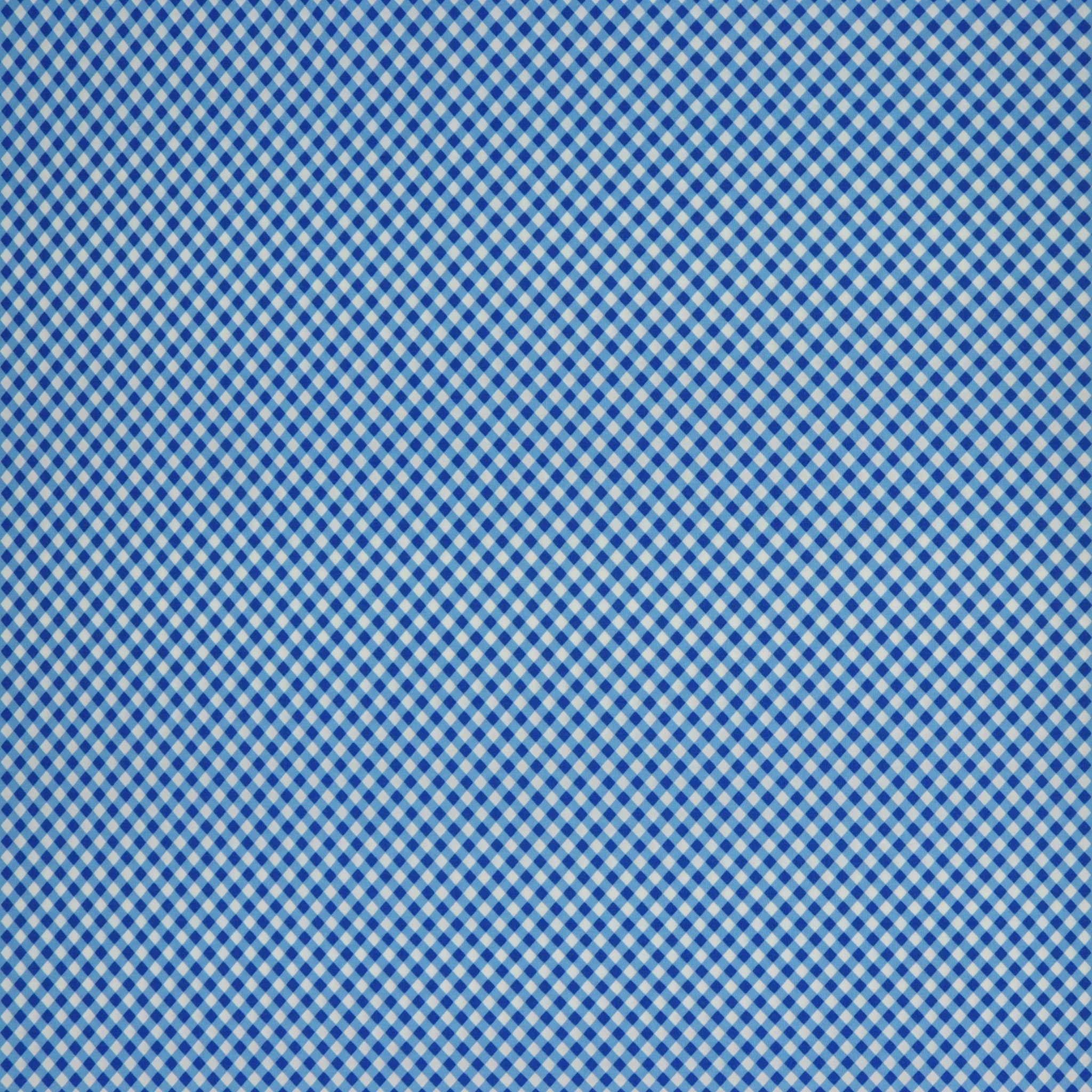 Tiny Secrets Fabric Collection - Secret Path Blue