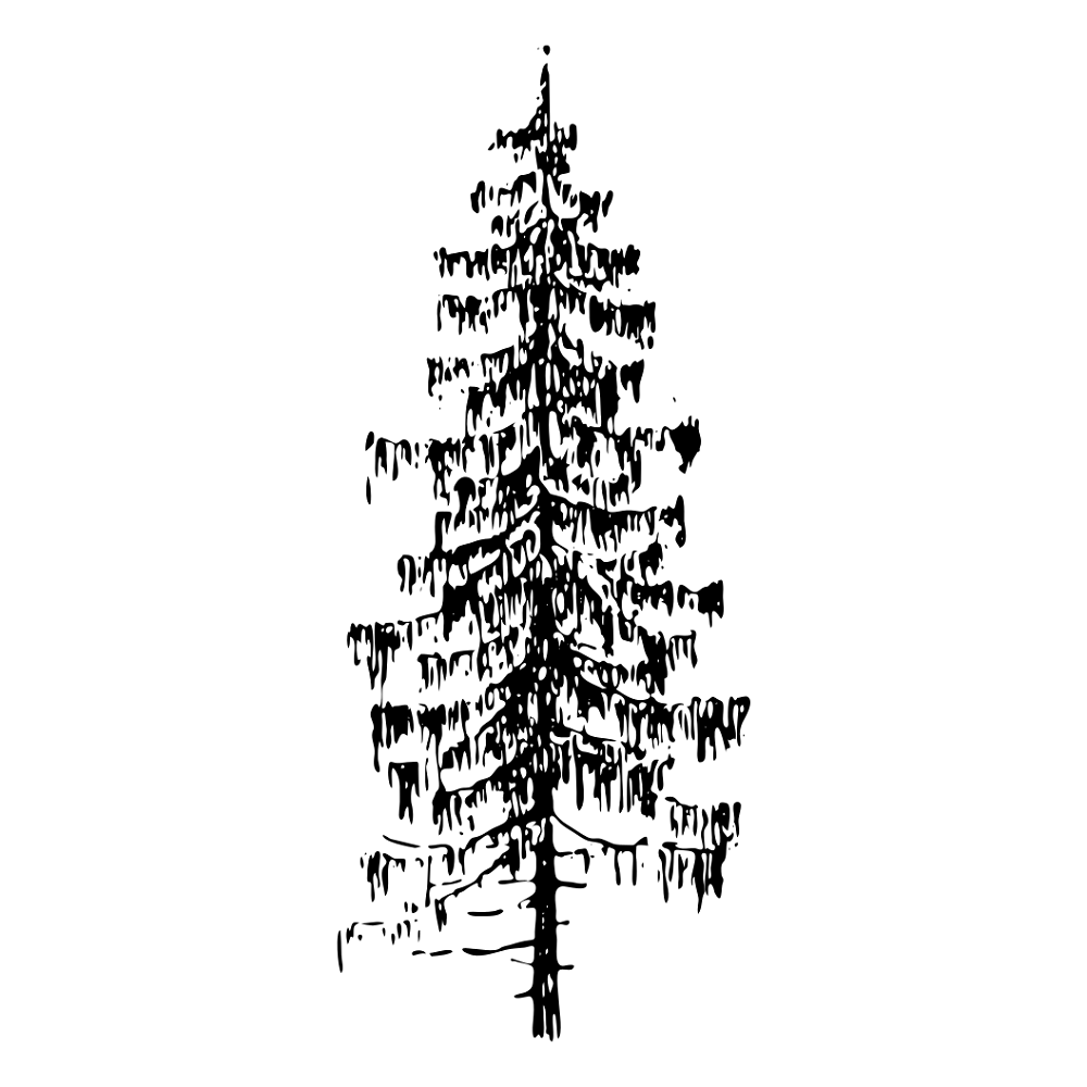 Chamaecyparis Motkatensis Tree Fabric Panel