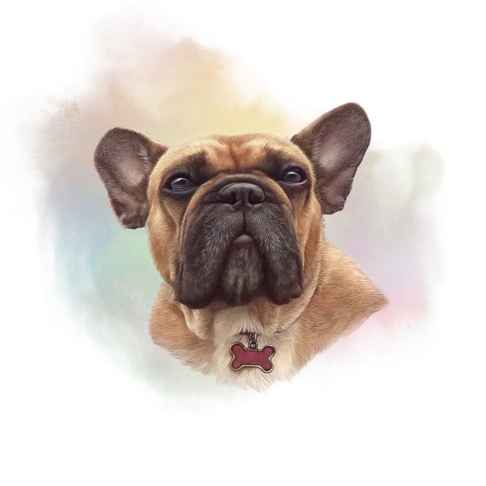 Tan French Bulldog With Collar Portrait Fabric Panel