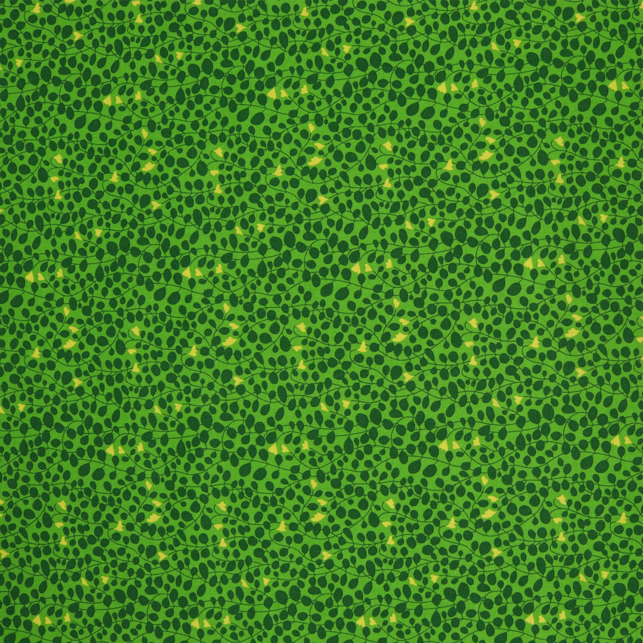 Blooming Color 2 Fabric Collection - Caroline Green