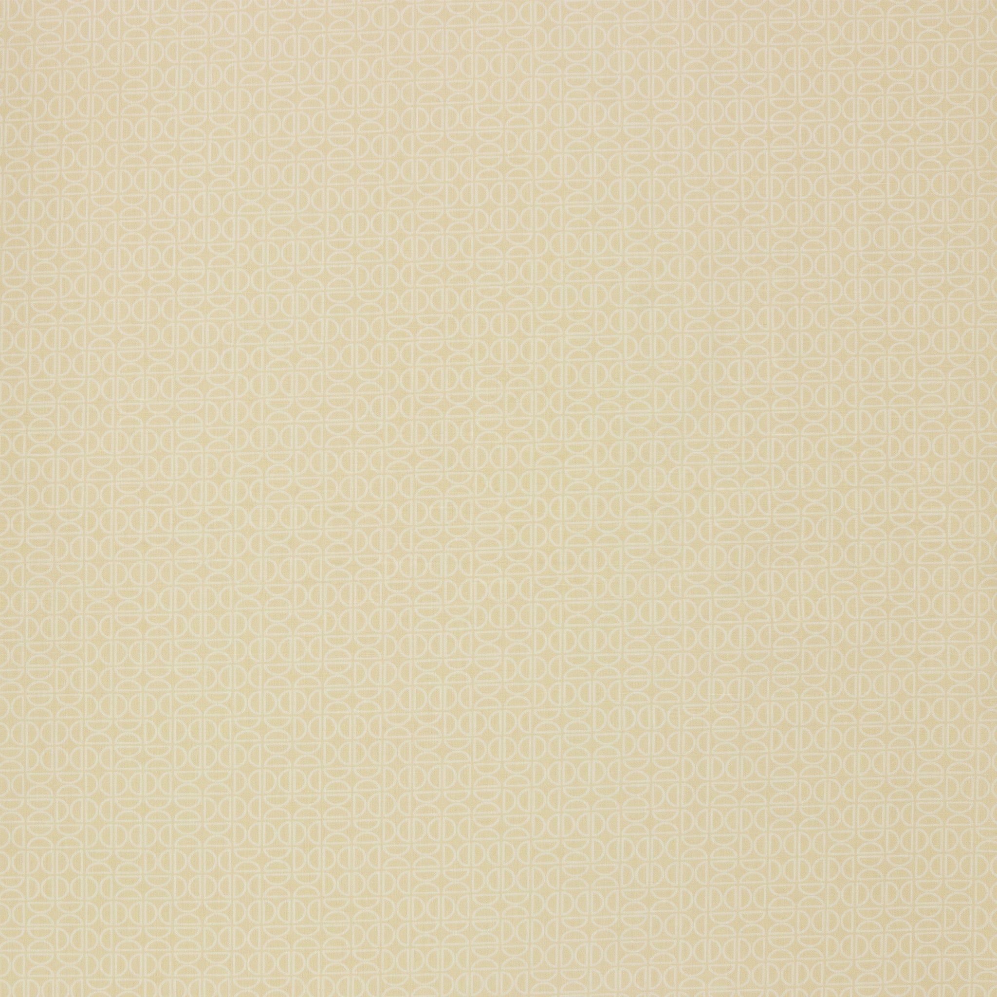 Tangerine Fabric Collection -  Zesty Wedges Raw