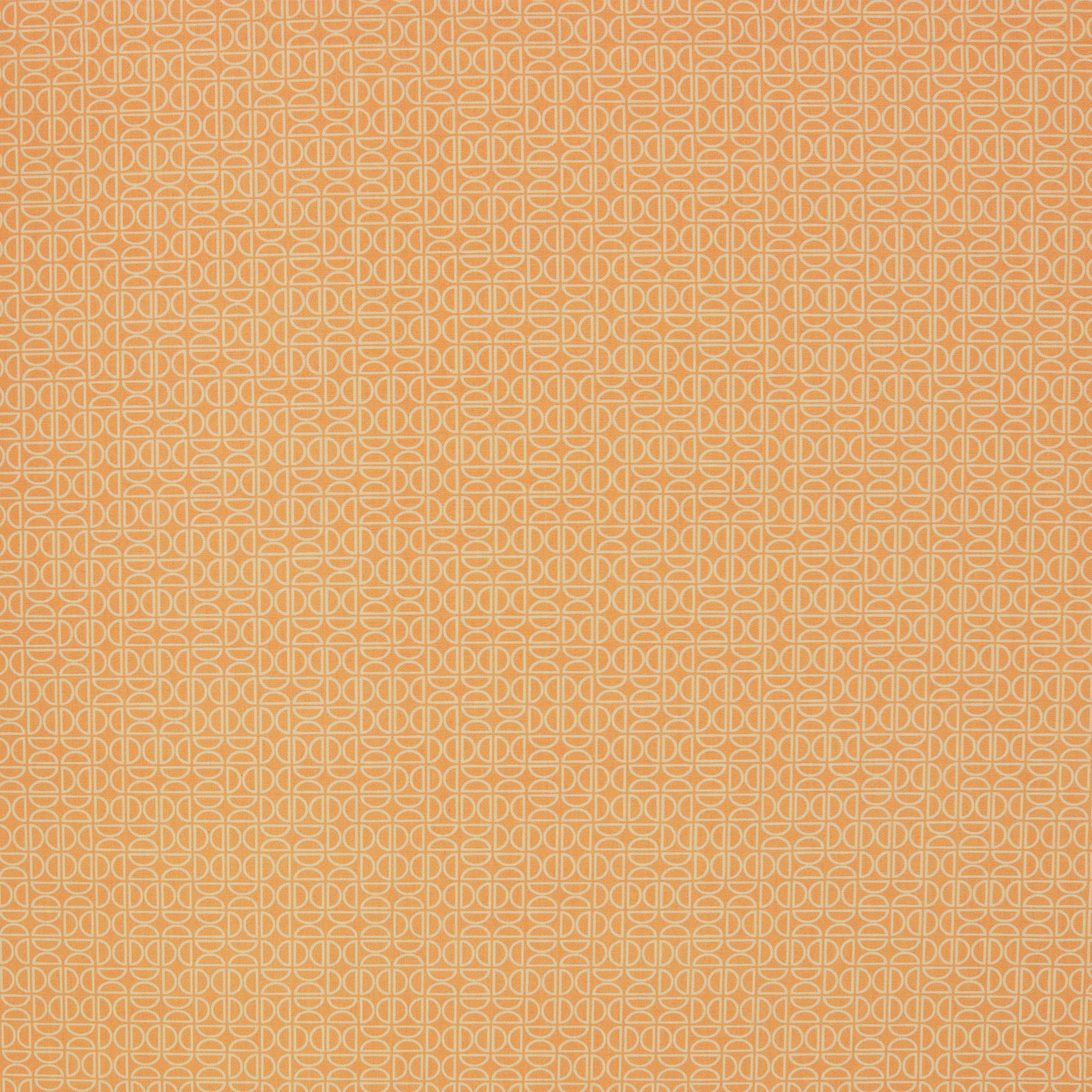 Tangerine Fabric Collection -  Zesty Wedges Tang