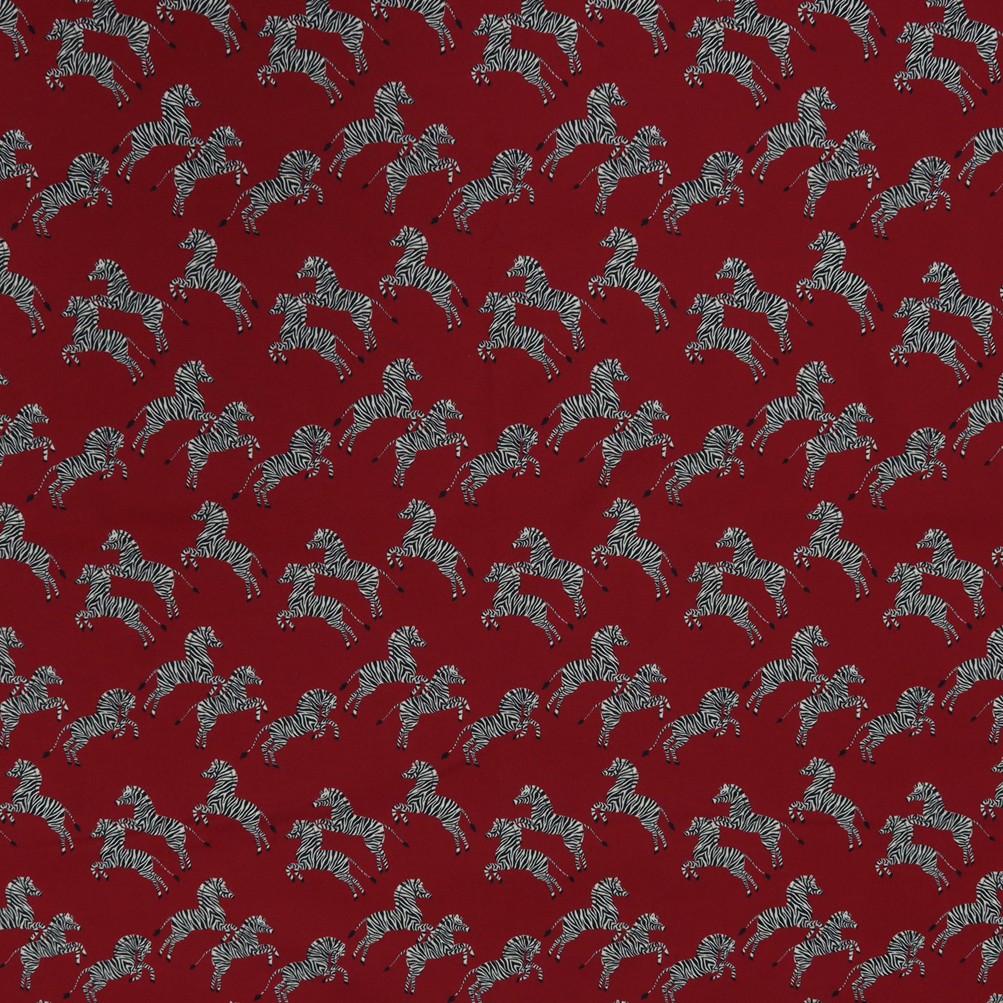 Zebras Fabric Collection - Just Zebras