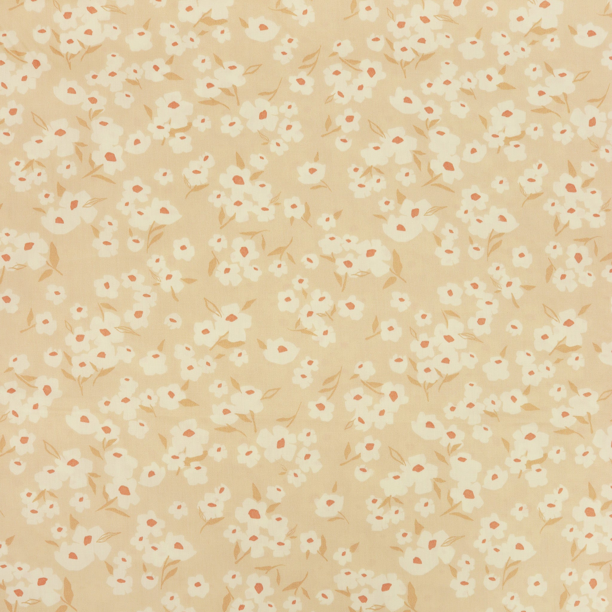 108 Edition Wide Back Fabric Collection - Spring Daisies Ecru