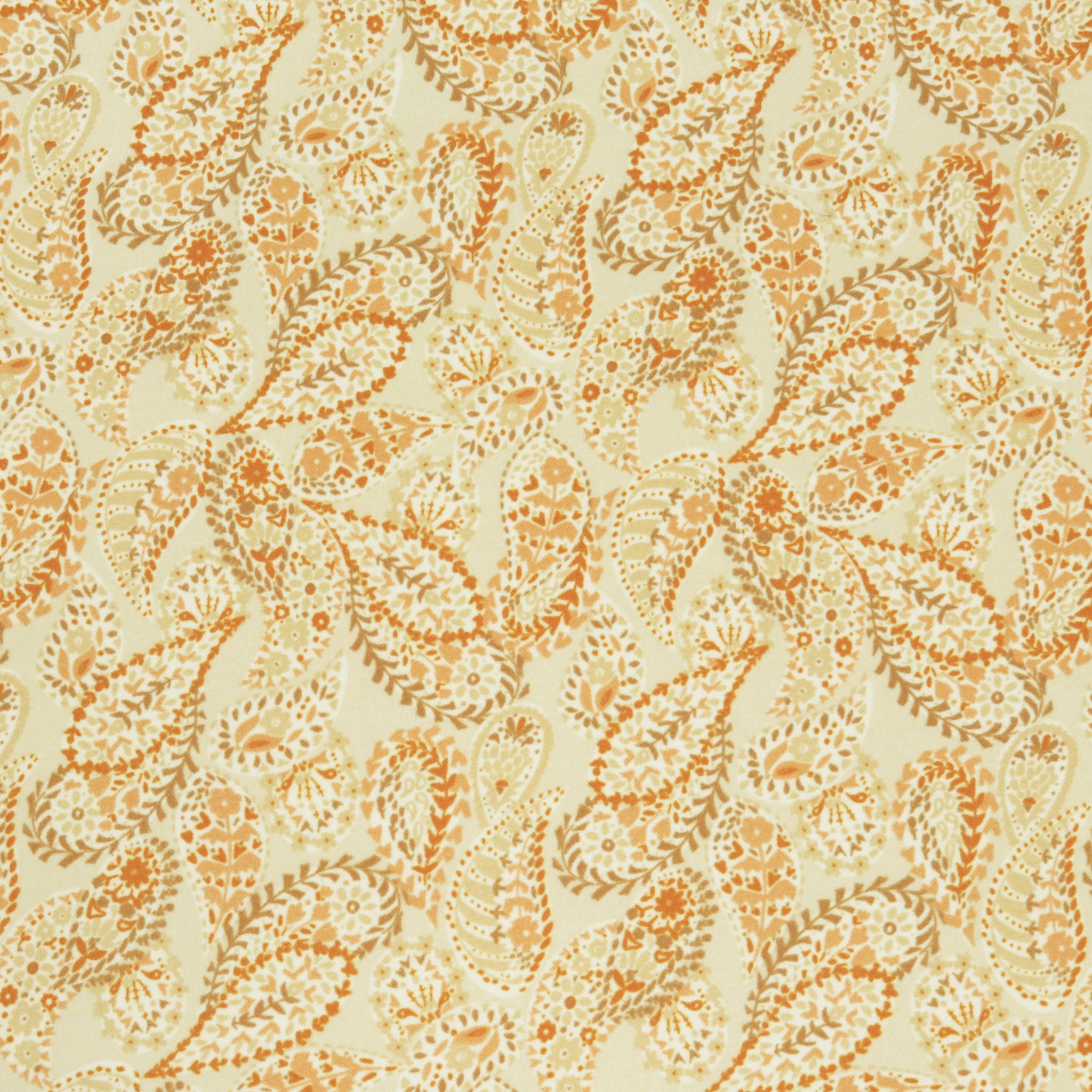 Tumbleweed Fabric Collection - Paisley Power Desert in Flannel