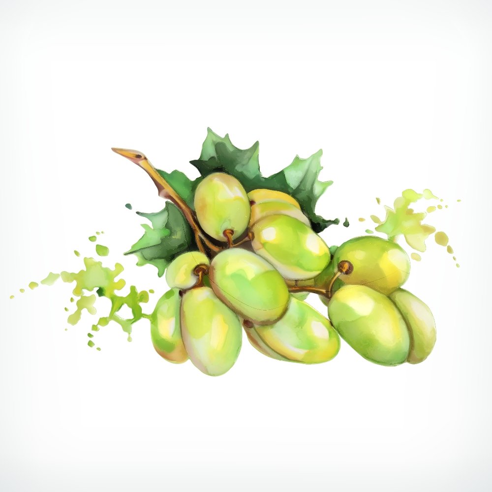 Colorful Watercolor Splash Grapes Fabric Panel