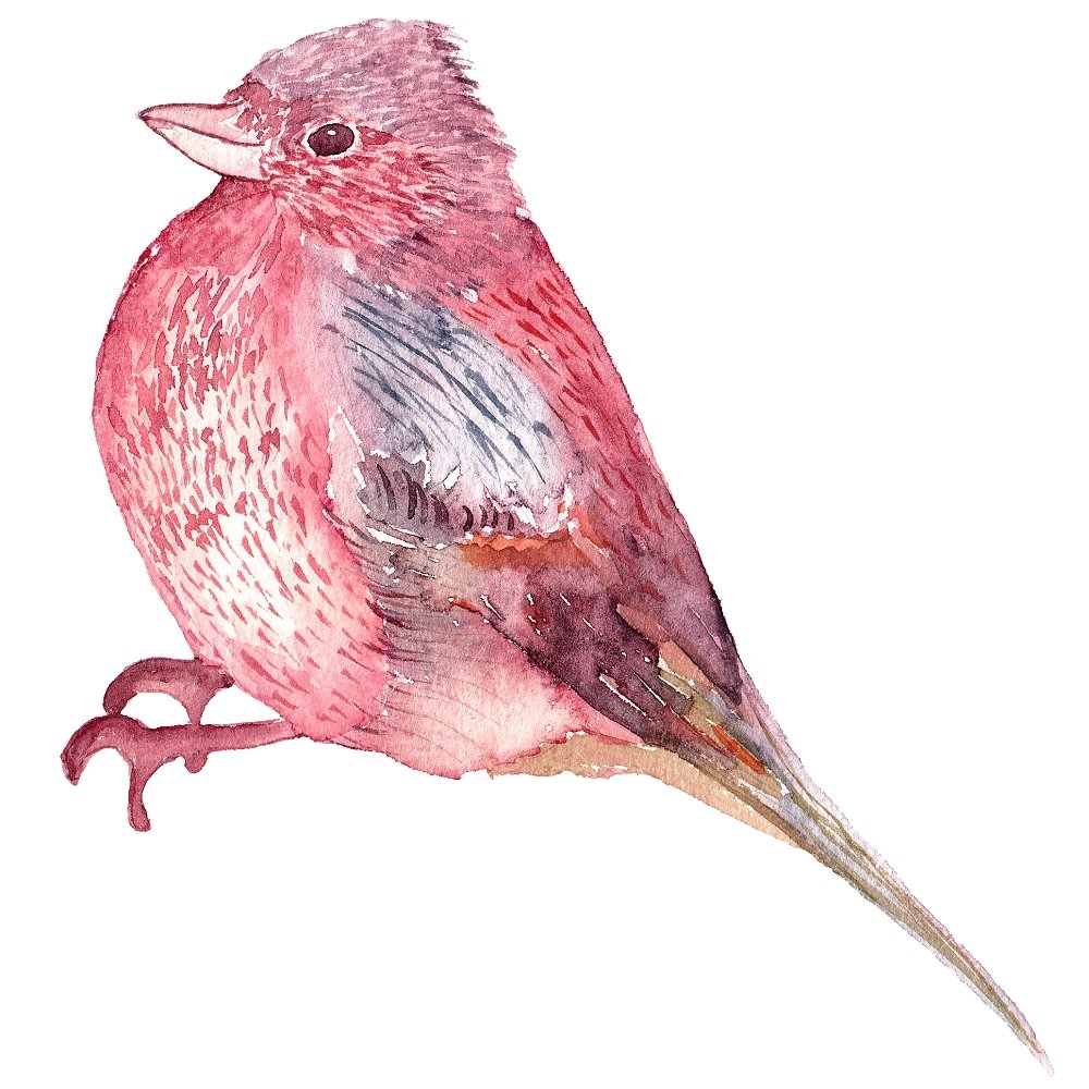 Cardinal Fabric Panel - Red