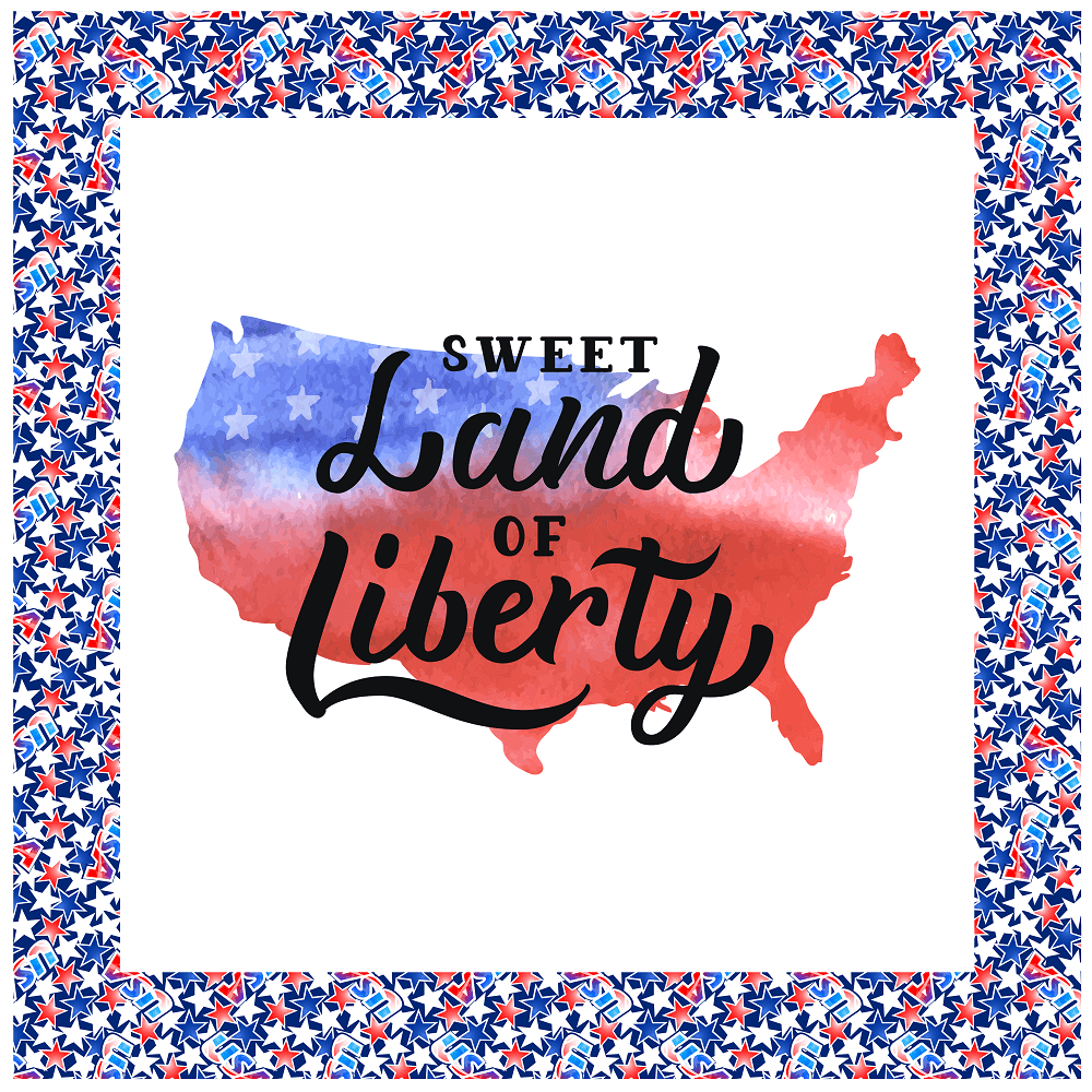Sweet Land of Liberty Pillow Panel