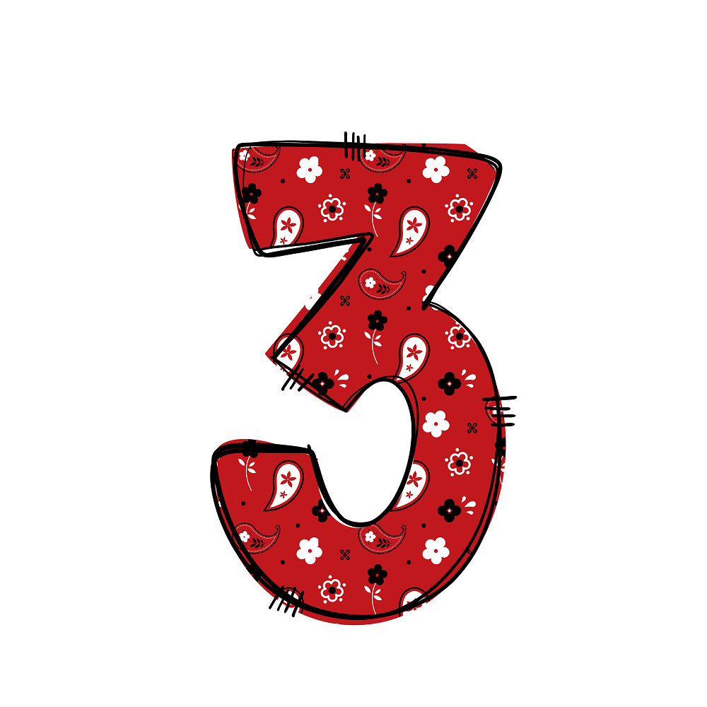 Western Cowboy ''3'' Paisley Fabric Panel