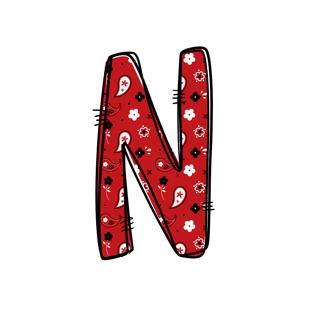 Western Cowboy ''N'' Paisley Fabric Panel