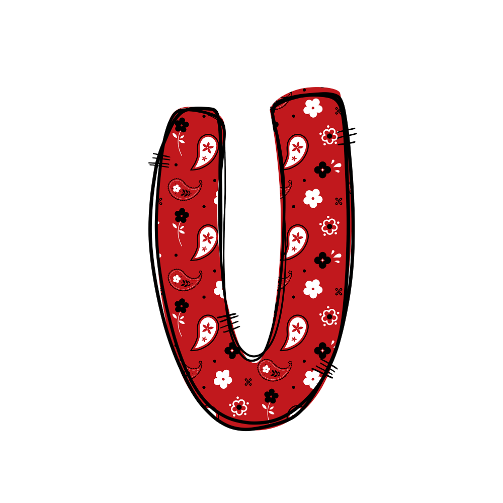 Western Cowboy ''U'' Paisley Fabric Panel