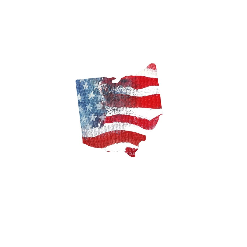 Watercolor Textured Flag Fabric Panel - Ohio