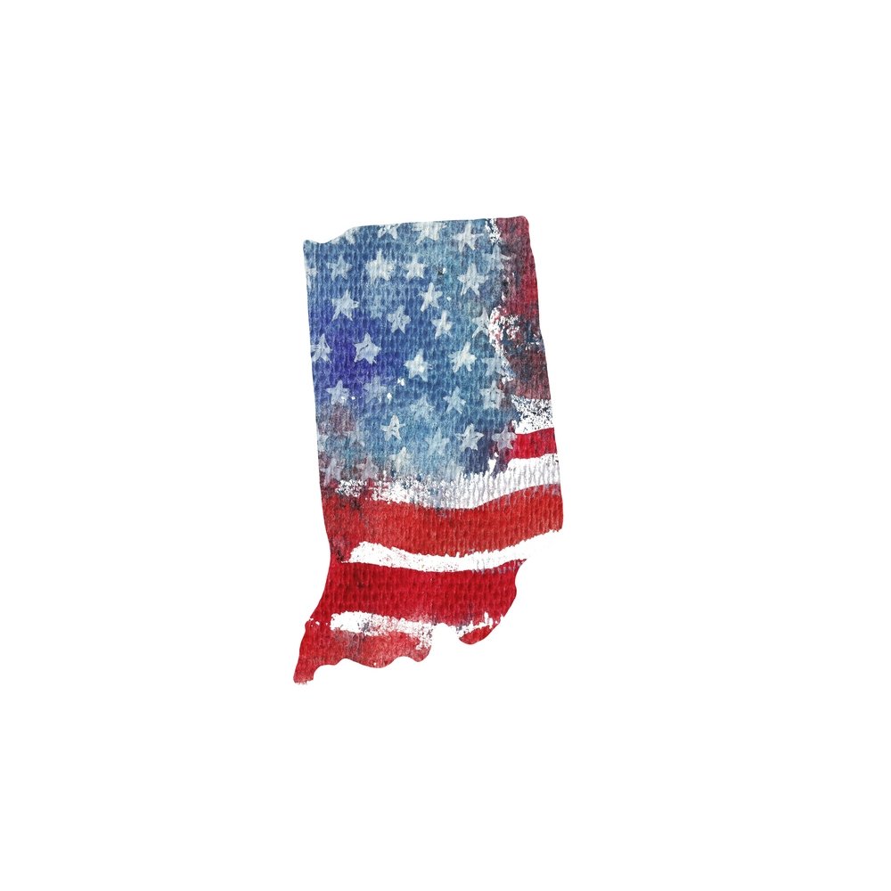 Watercolor Textured Flag Fabric Panel - Indiana