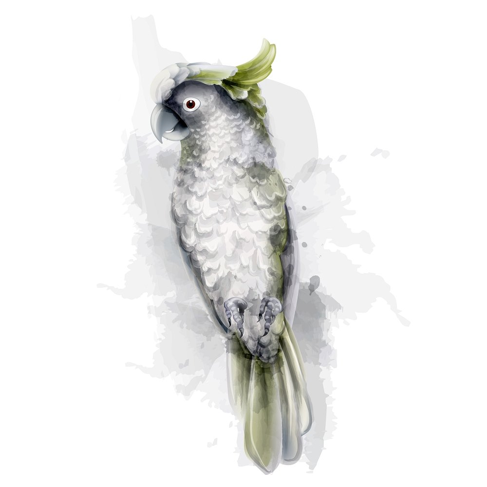 Yellow-Crested Parrot Fabric Panel