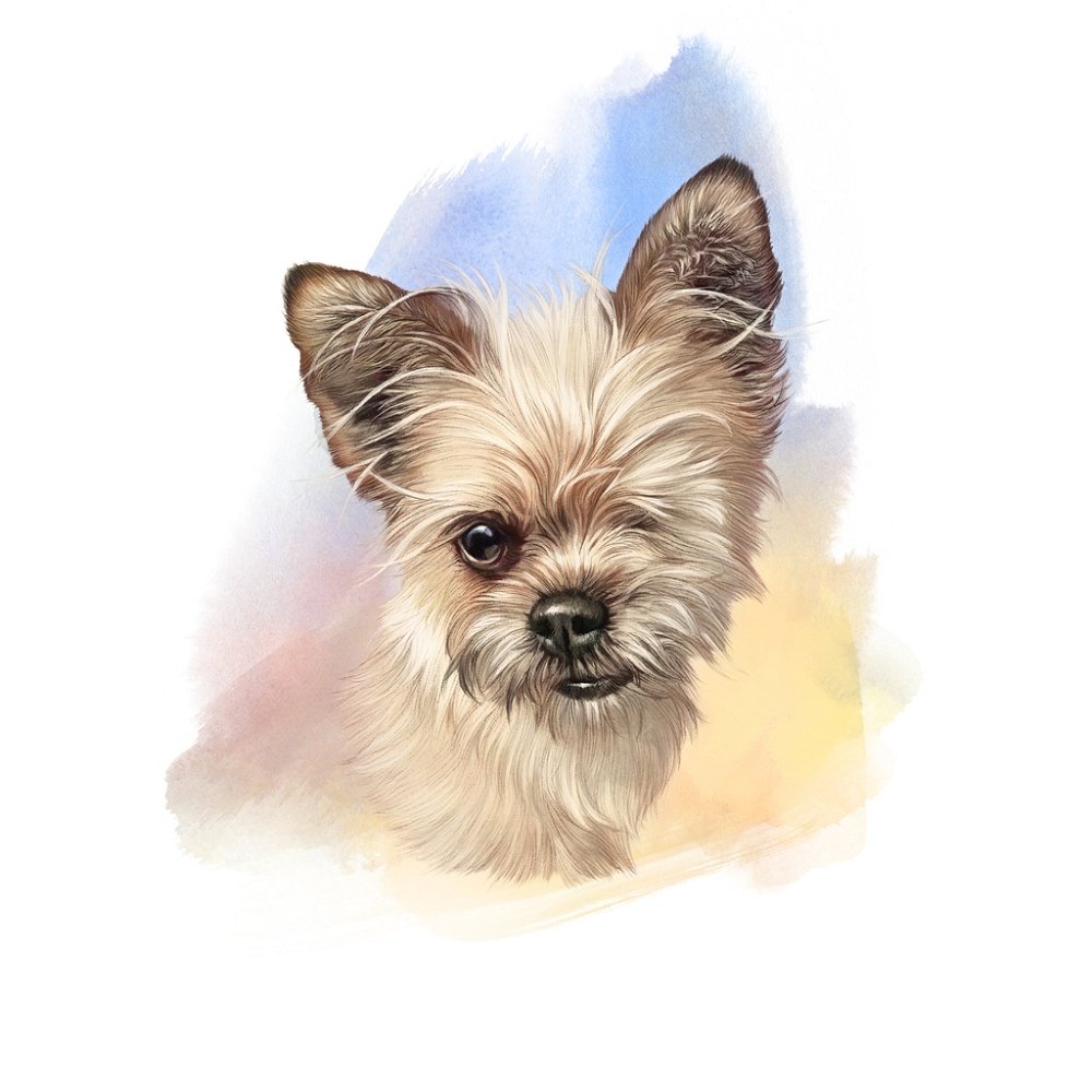Yorkshire Terrier Portrait Fabric Panel