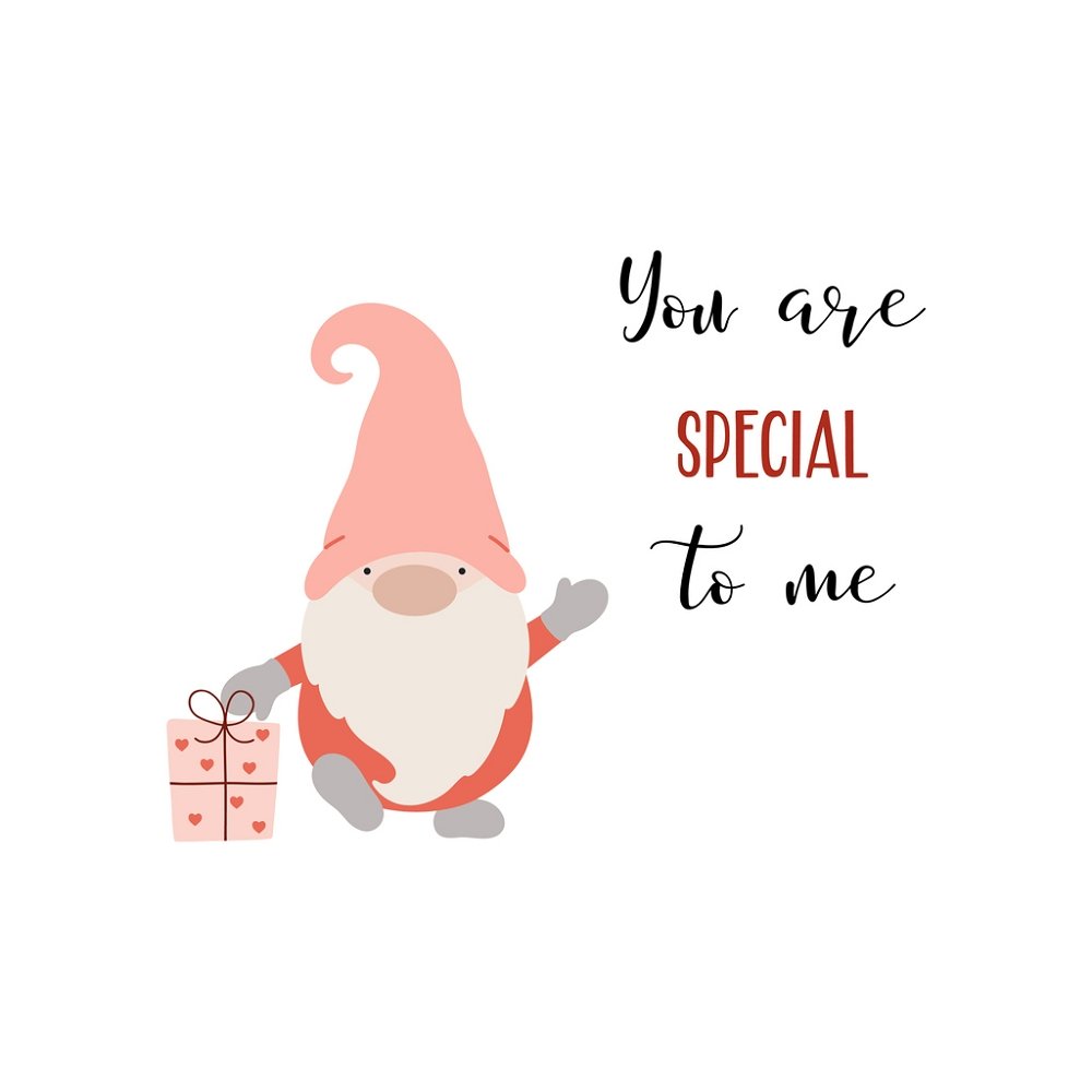 You Are Special To Me Gnome Fabric Panel