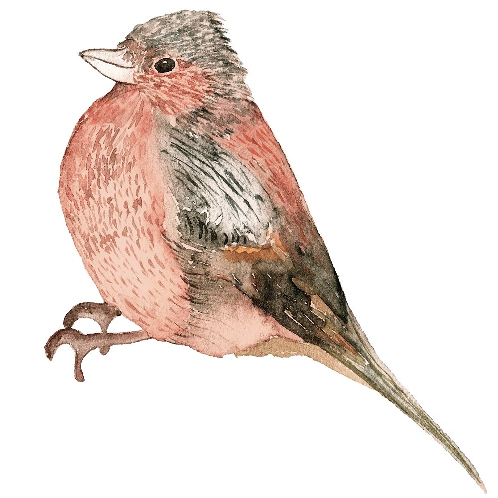 Winter Dreams Bird Fabric Panel