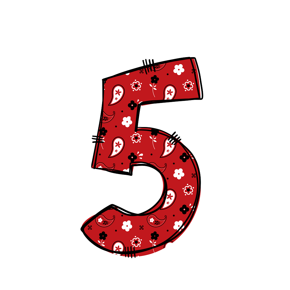 Western Cowboy ''5'' Paisley Fabric Panel