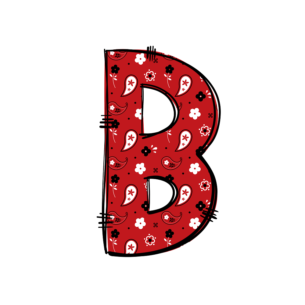 Western Cowboy ''B'' Paisley Fabric Panel