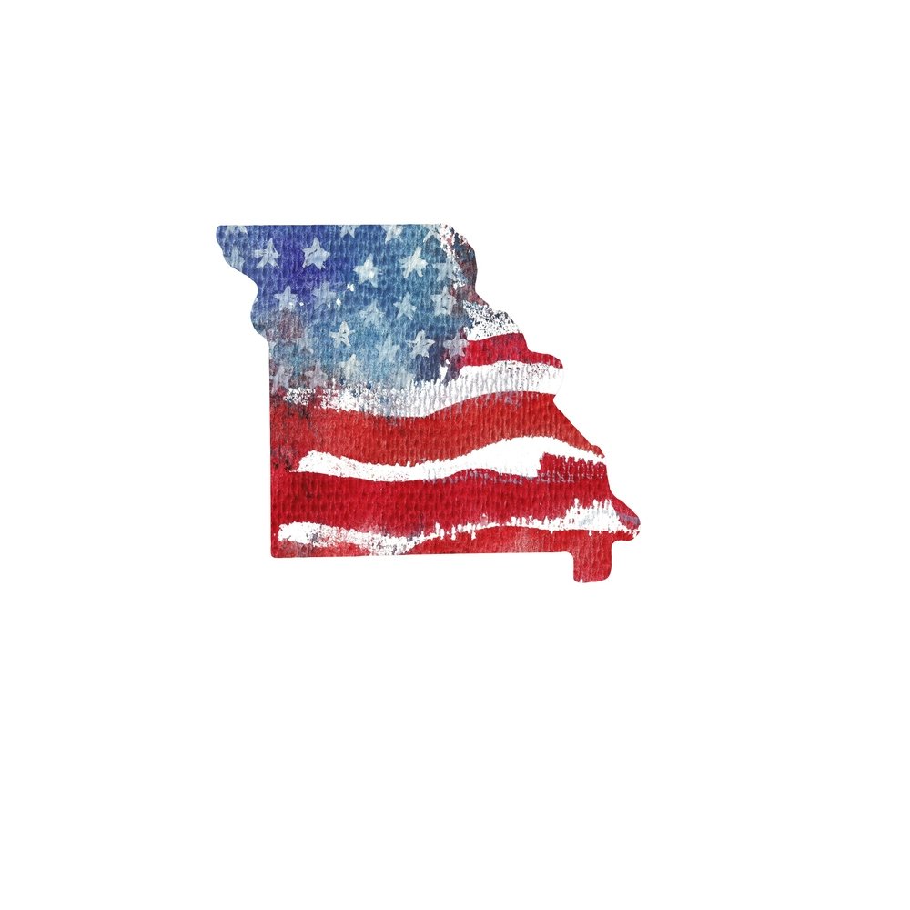 Watercolor Textured Flag Fabric Panel - Missouri