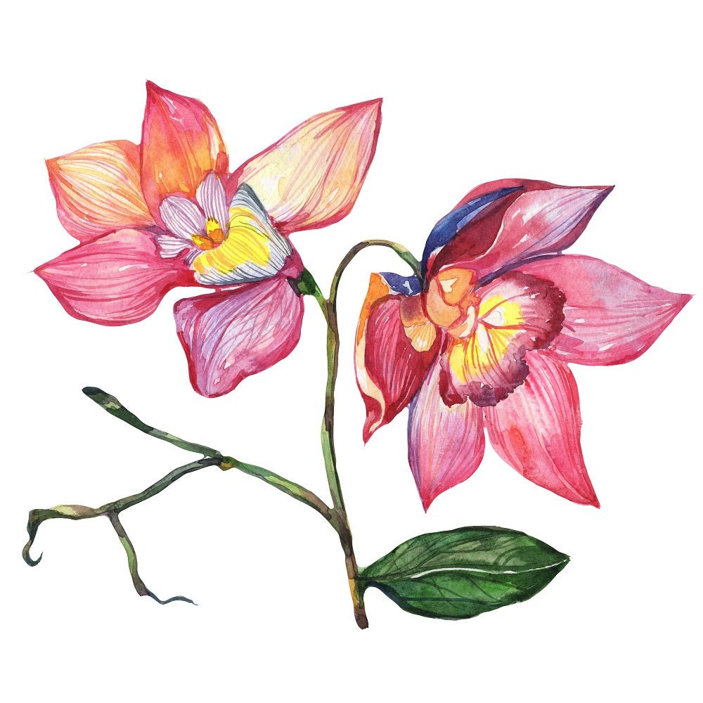 Watercolor Wildflower Orchid #1 Fabric Panel