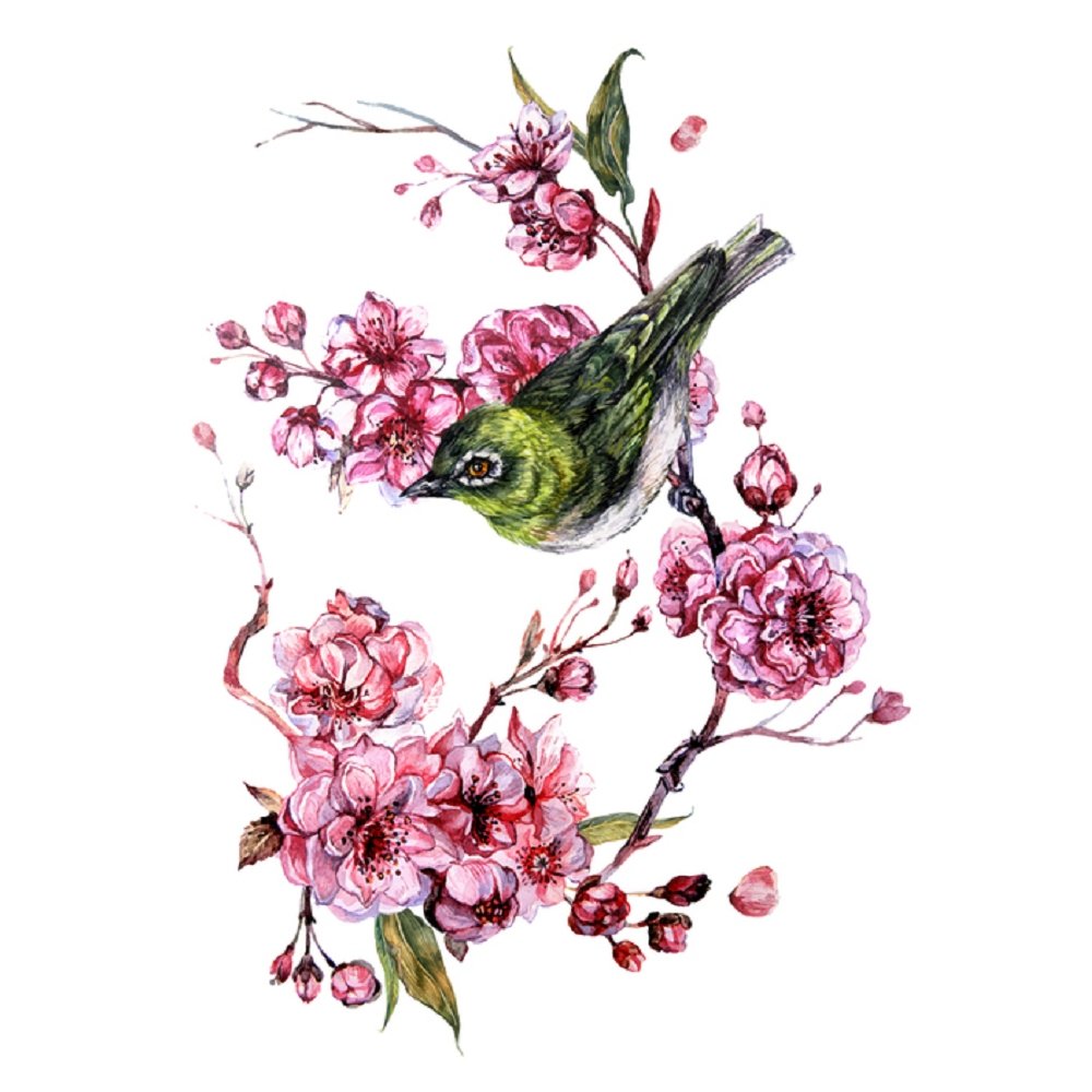 Watercolor White-Eyed Bird Botanical Fabric Panel - White