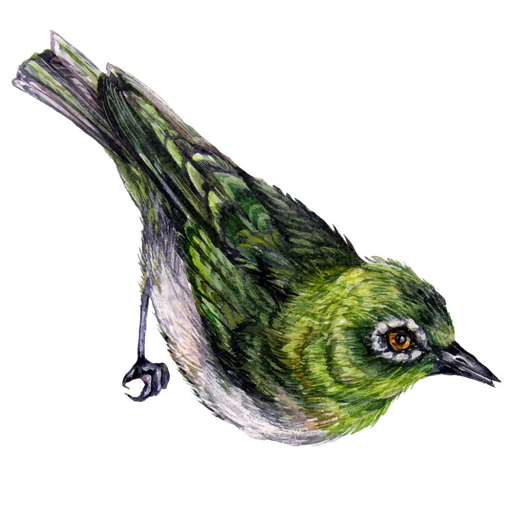 Watercolor White-Eyes Bird Fabric Panel