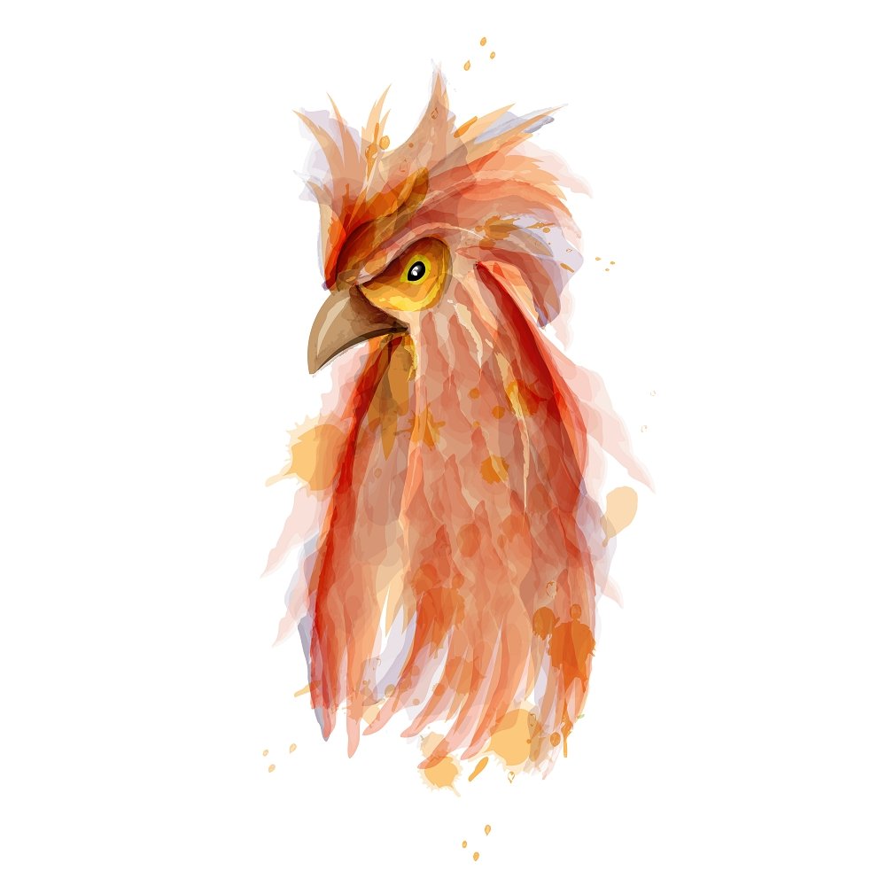 Watercolor Rooster Head Fabric Panel - Orange