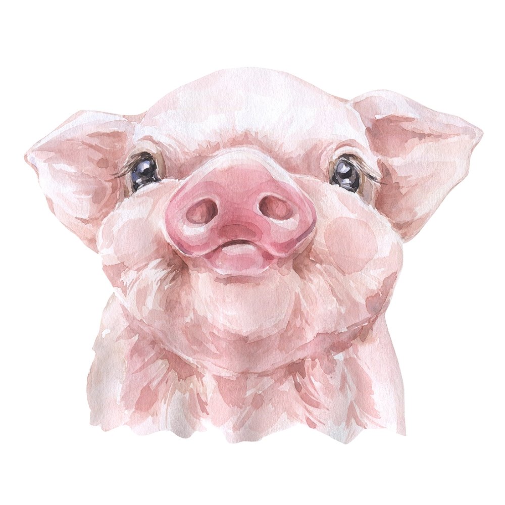 Watercolor Piglet Fabric Panel