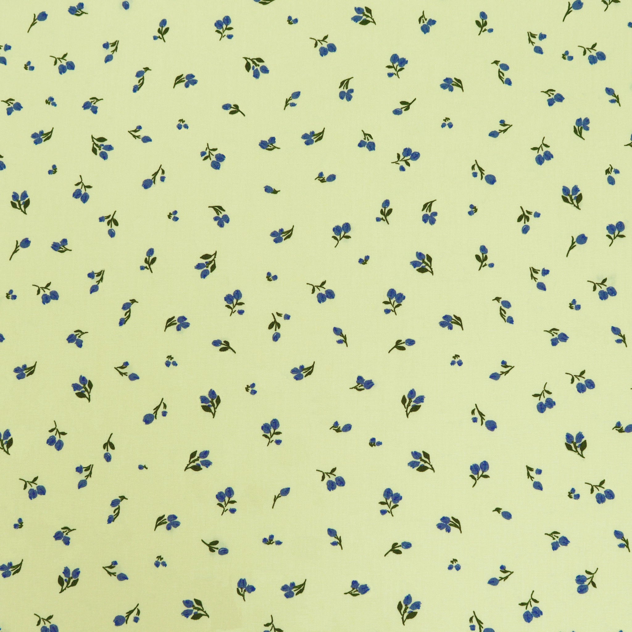 A Year in Petals Fabric Collection - Blue Ridge Buttercup