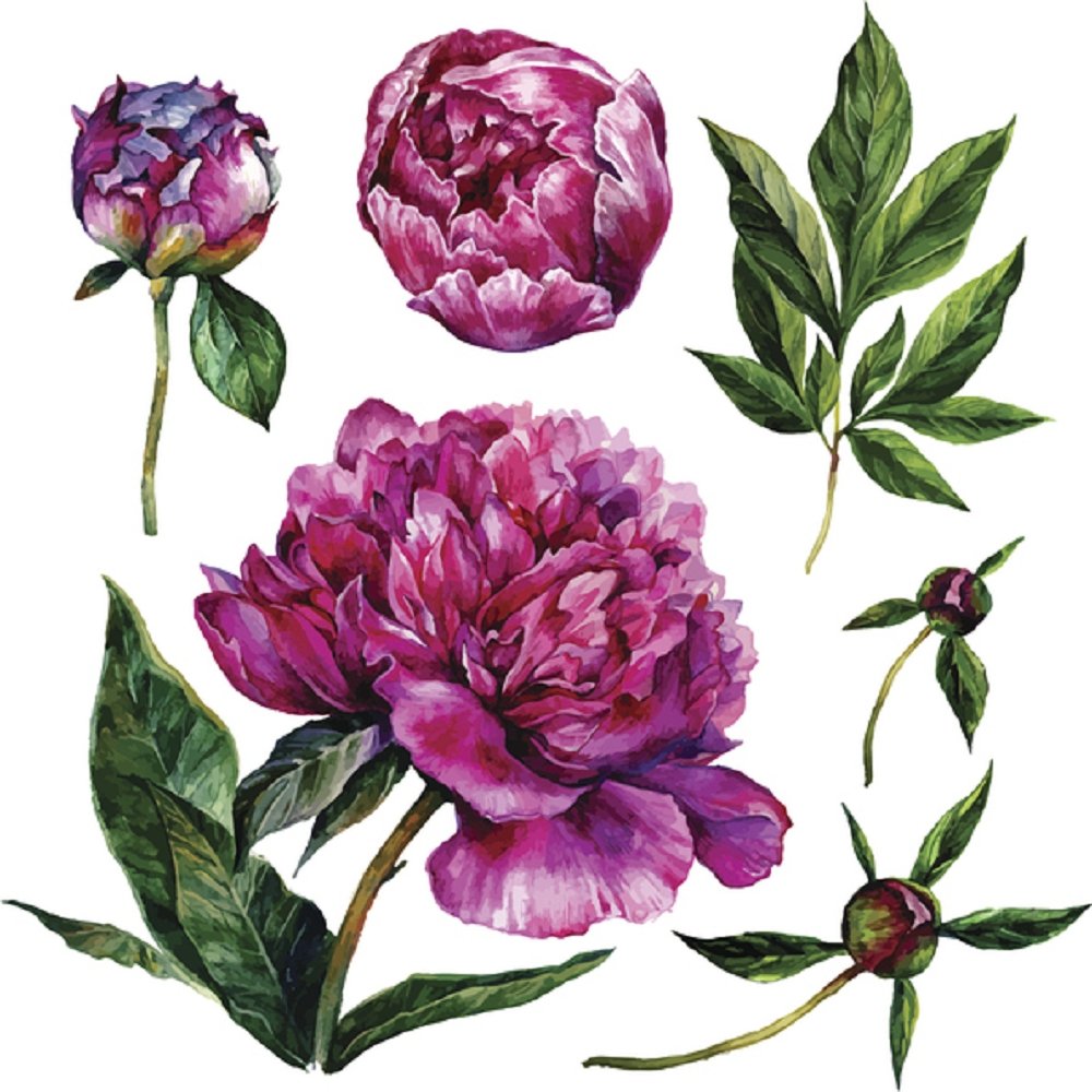 Watercolor Peonies Fabric Panel - White