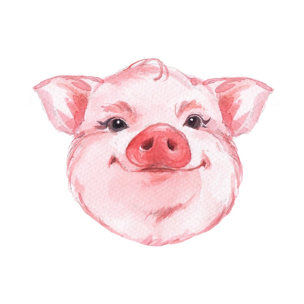 Watercolor Pig Face Fabric Panel
