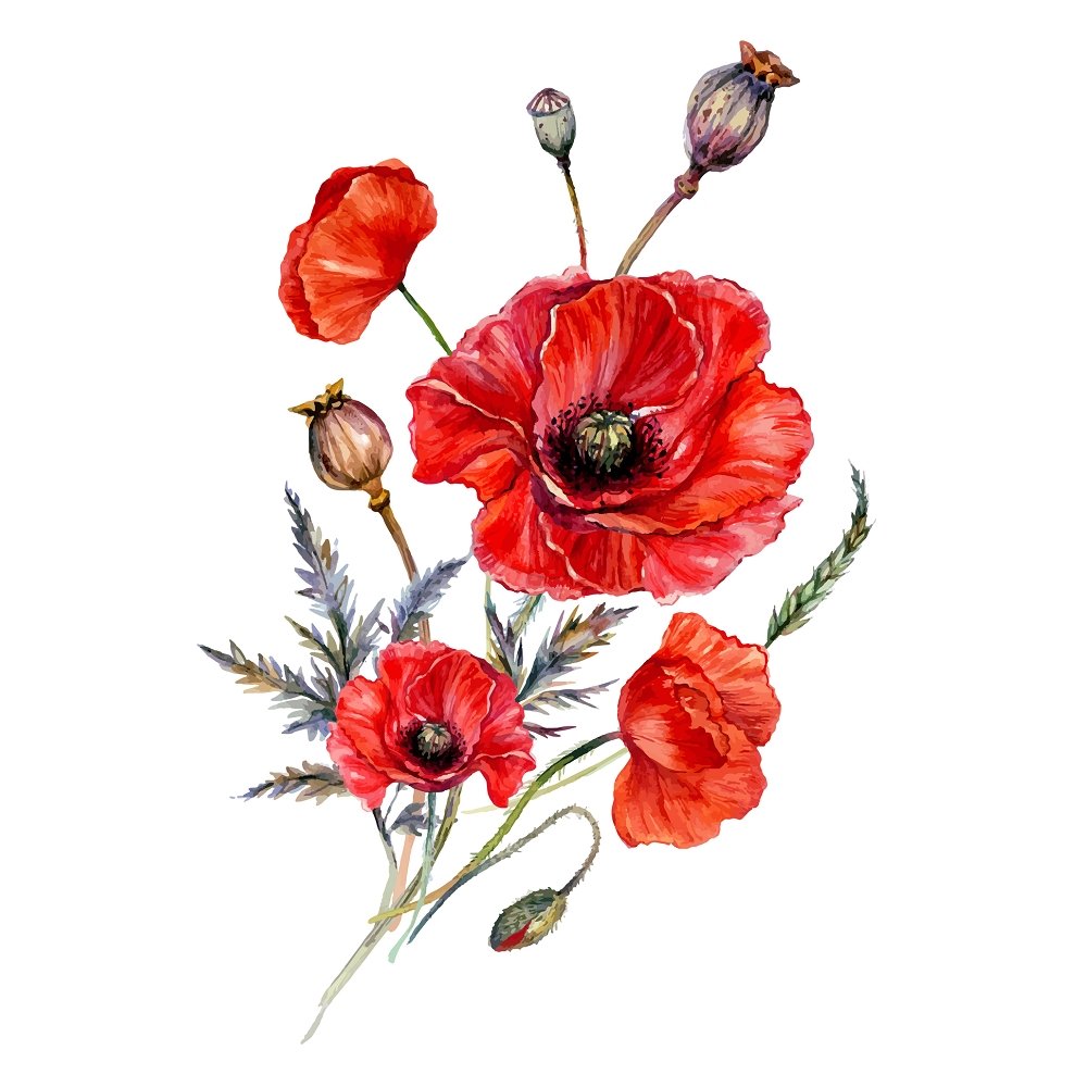 Watercolor Poppy Fabric Panel - Red
