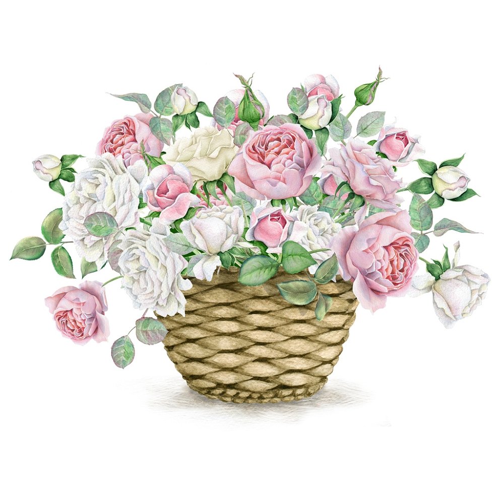 Watercolor Rose Basket Fabric Panel - Multi