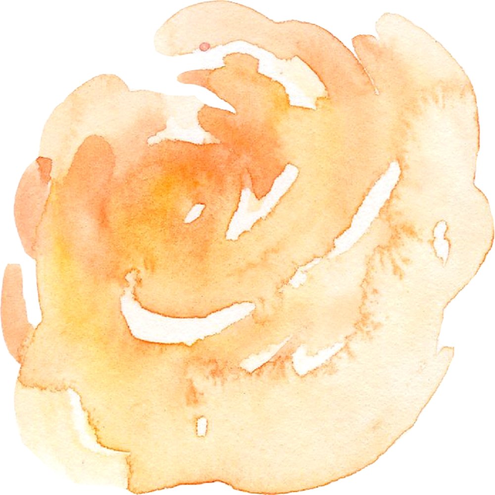 Watercolor Rose Fabric Panel - Peach